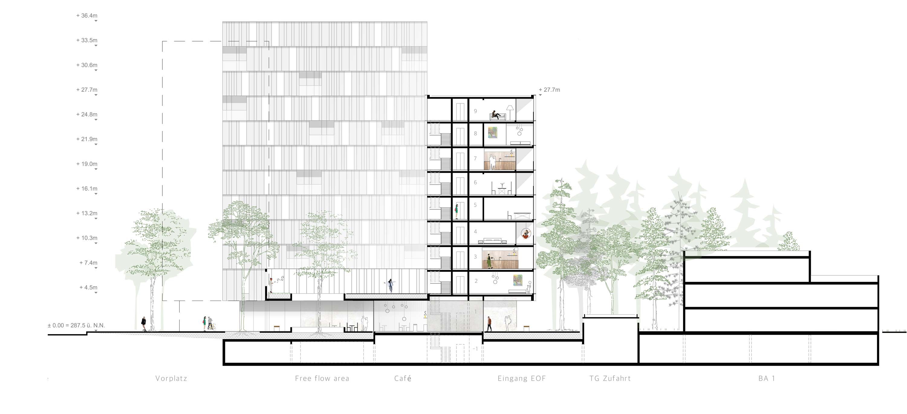 Systemschnitt des Entwurf für den Wettbewerb in der Gebbertstr. in Erlangen.
