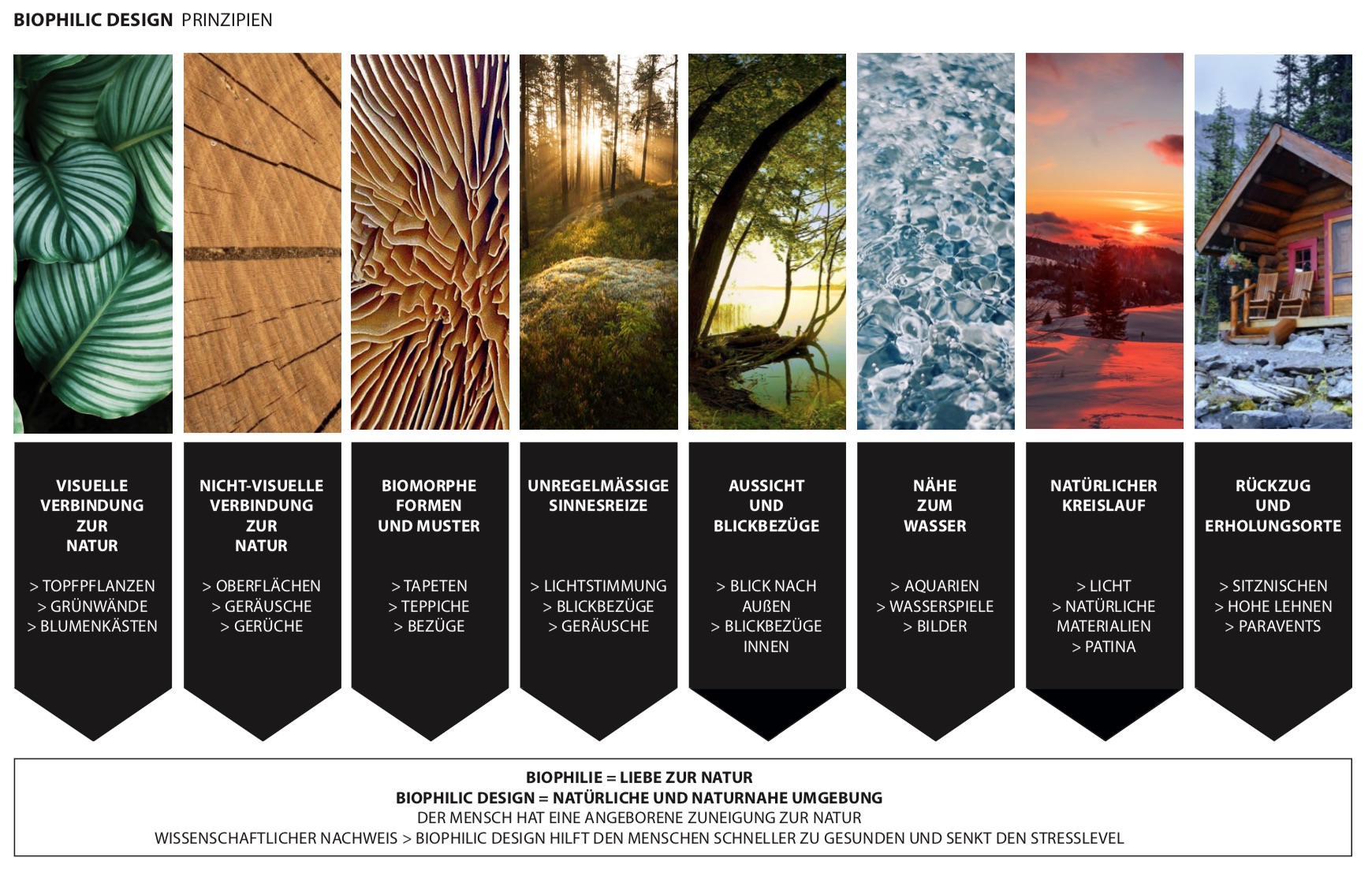 Biophilic_Design_healing_architecture